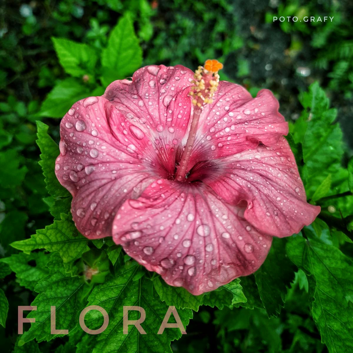 Residential staircase project